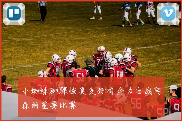 小蜘蛛脚踝恢复良好将全力出战阿森纳重要比赛