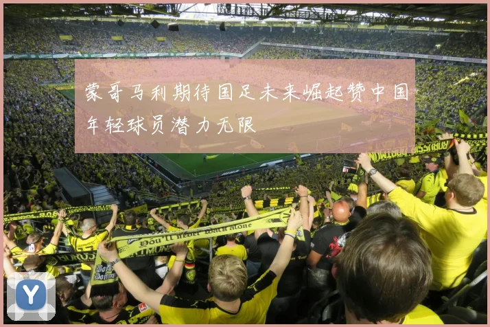 蒙哥马利期待国足未来崛起赞中国年轻球员潜力无限